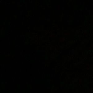 Meet your Posher, Lucy